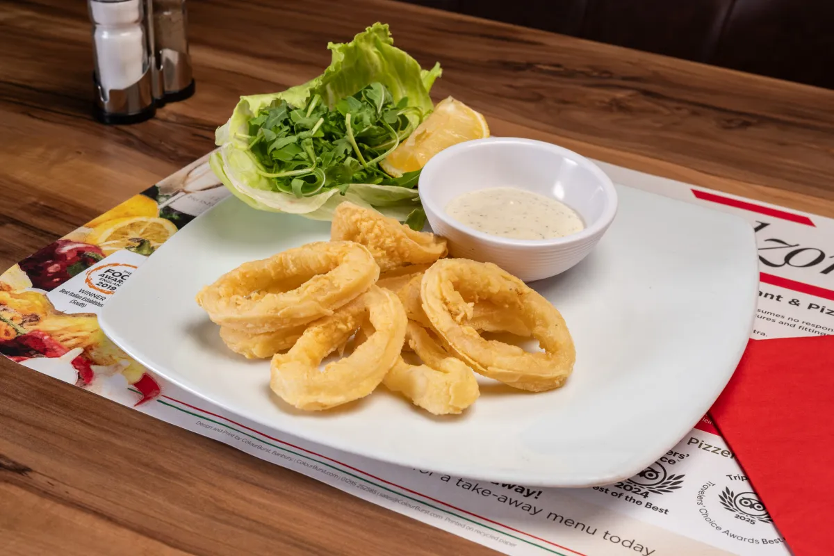 Calamari fritti served with salad, lemon and a creamy dip